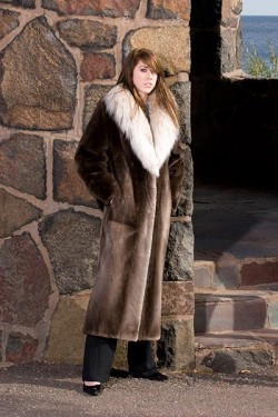 Plucked and sheared beaver coat with Lynx collar