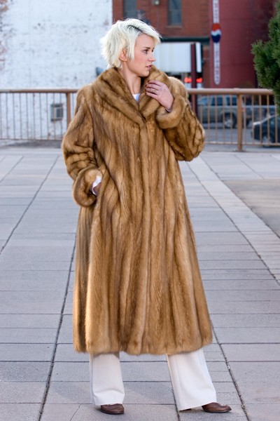 Golden Sable Coat
